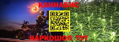 твердый Бийск