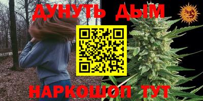 эйфоретик Берёзовский